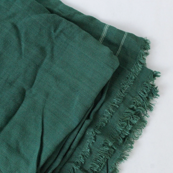 Green Stripe Trim Pattern Fringe Scarf Wrap Shawl - Fashion Accessory