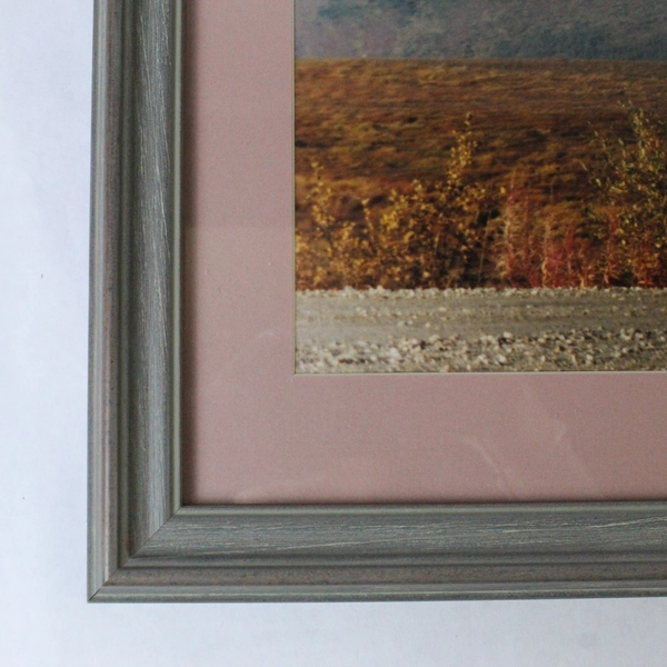 Mt. McKinley Denali Park Alaska September 1997 Photograph Framed Matted Art 