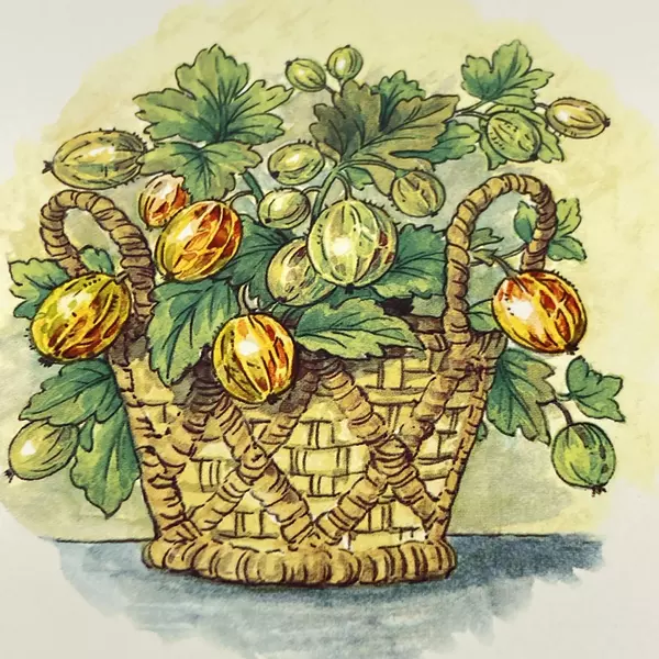 Wood N Toys Handmade Cork Back Tile Trivet Gooseberries 8.75 x 8.75 Inch