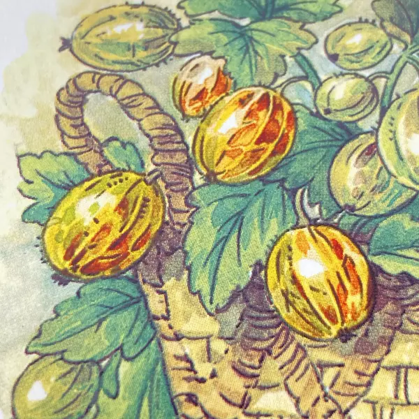 Wood N Toys Handmade Cork Back Tile Trivet Gooseberries 8.75 x 8.75 Inch