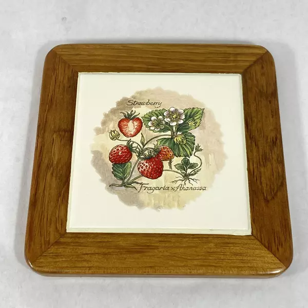 Wood 'N' Toys Handmade Cork Back Tile Trivet Strawberries 8.75 x 8.75 Inch