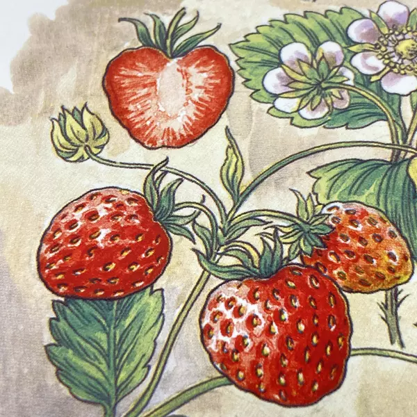 Wood 'N' Toys Handmade Cork Back Tile Trivet Strawberries 8.75 x 8.75 Inch