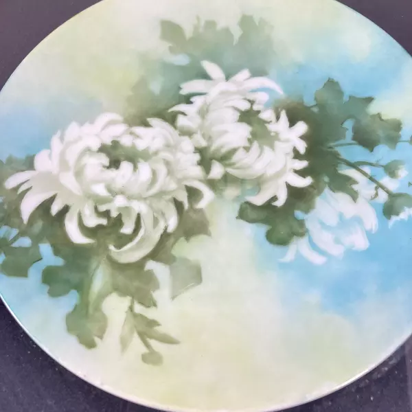 Framed Hand Painted White Chrysanthemum Plate Signed A J Byerlee