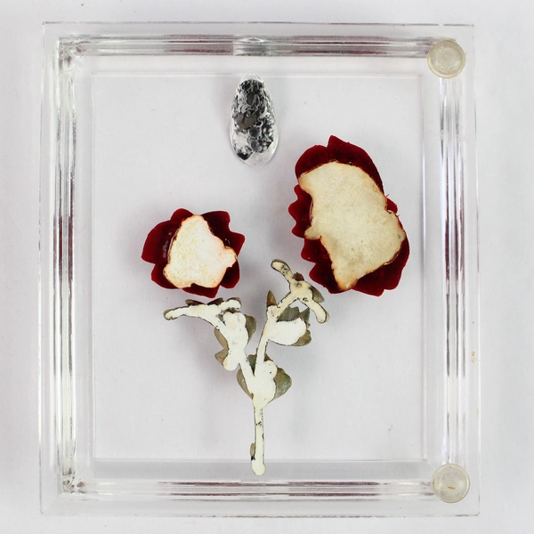 Vintage Lucite Paperweight And Pen Holder Art Deco With Dried Mini Roses