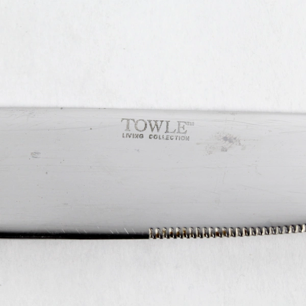 Set of 6 Towle Mason Frost Stainless Steel Dinner Knives 9-1/2"