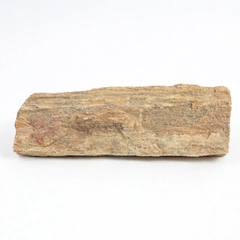 1.75 lbs Slab Petrified Wood Specimen Brown Bark Colors Texture