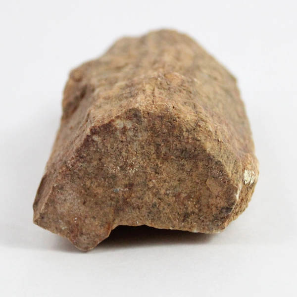 1.75 lbs Slab Petrified Wood Specimen Brown Bark Colors Texture