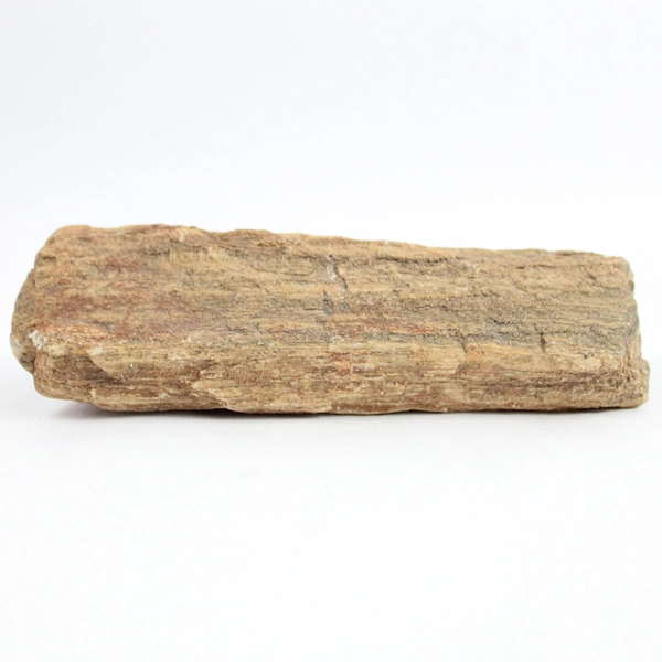 1.75 lbs Slab Petrified Wood Specimen Brown Bark Colors Texture