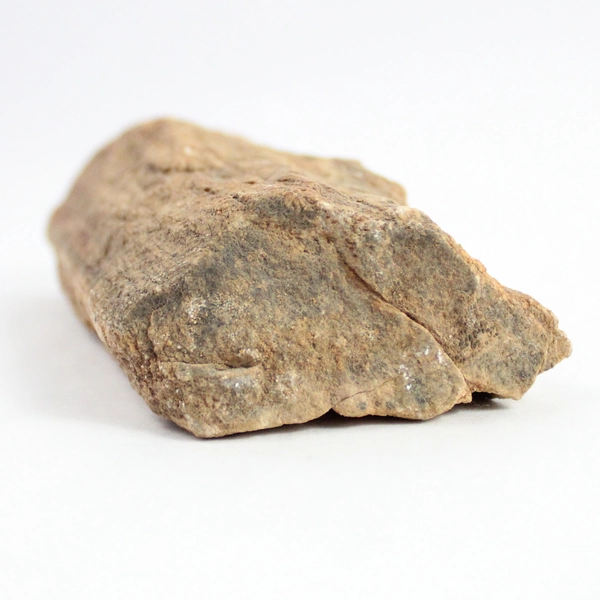 1.75 lbs Slab Petrified Wood Specimen Brown Bark Colors Texture