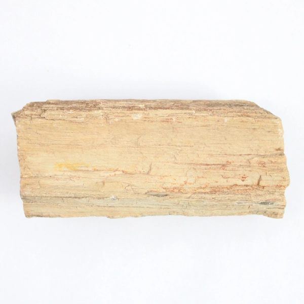 1.75 lbs Slab Petrified Wood Specimen Brown Bark Colors Texture