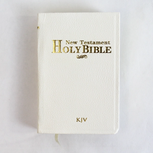 Holy Bible New Testament Red Letter Jesus King James One Million Words