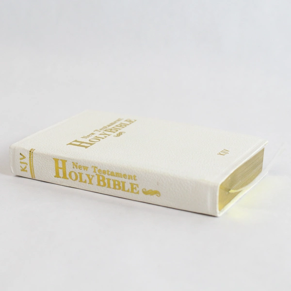 Holy Bible New Testament Red Letter Jesus King James One Million Words