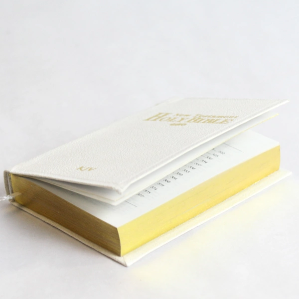 Holy Bible New Testament Red Letter Jesus King James One Million Words