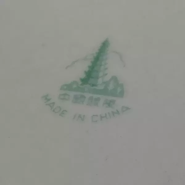 Yong Shen Hand Painted China Cup And Saucer White With Flowers Platinum Rim