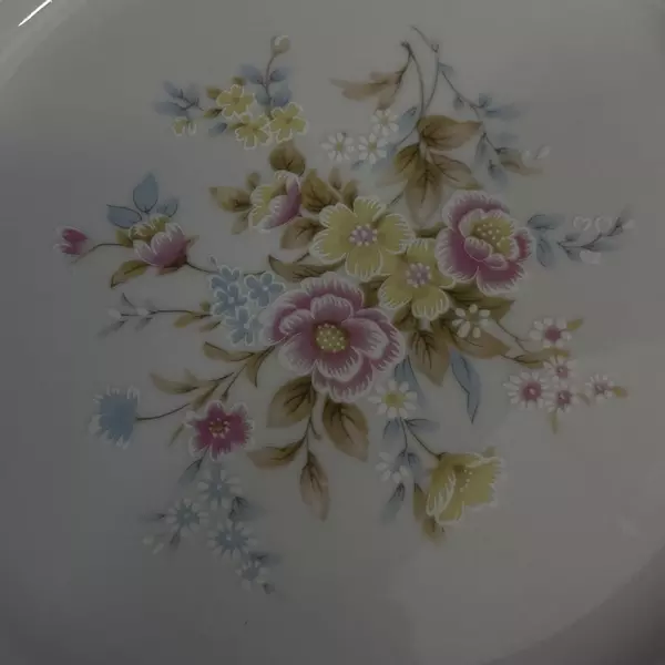 4 Yong Shen Hand Painted China Dinner Plates White With Flowers Platinum Rim