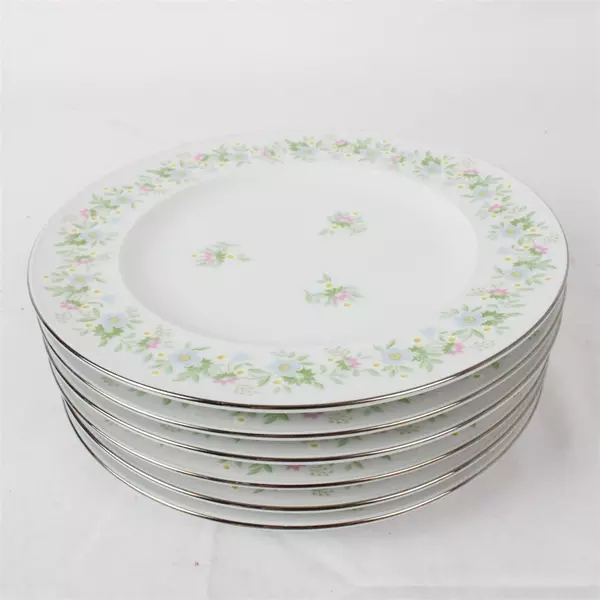 Set of 6 Johann Haviland Bavaria Germany 6" Bread Plates in Forever Spring