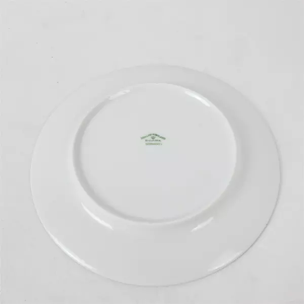 Set of 6 Johann Haviland Bavaria Germany 6" Bread Plates in Forever Spring