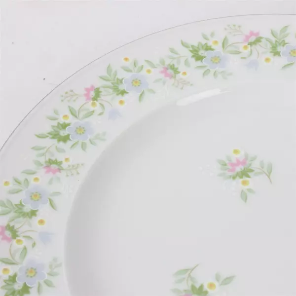 Set of 6 Johann Haviland Bavaria Germany 6" Bread Plates in Forever Spring