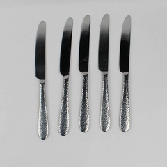 Lot Of 5 Cambridge Silver Rendezvous (Stainless) Flatware Dinner Knives 9" Long