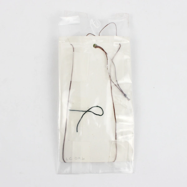 Northwest Green Beach Glass Wax Linen Netting Necklace