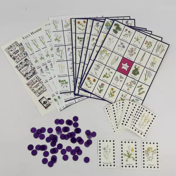 Lucy Hammett's Bingo Wildflower #2477