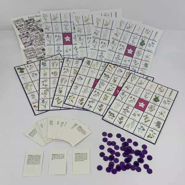 Lucy Hammett's Bingo Wildflower #2477