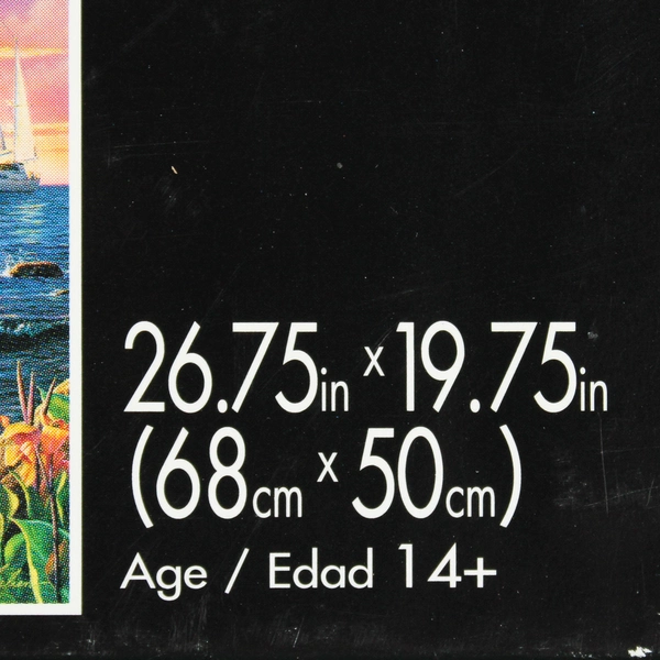 Kim Norlien Ocean Beach Sunset Summertime 1000 Piece Jigsaw Puzzle Buffalo