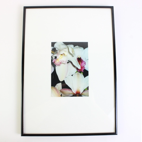 Framed & Matted Photographic Print of Pale Lilies 10.25 x 14.25 Portrait Size