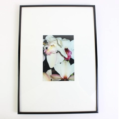 Framed & Matted Photographic Print of Pale Lilies 10.25 x 14.25 Portrait Size