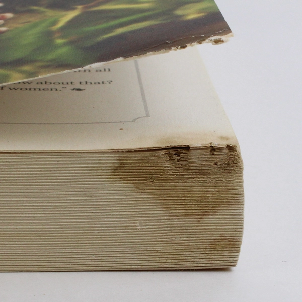 At Home on Ladybug Farm Donna Ball Paperback Novel 2009 Penguin