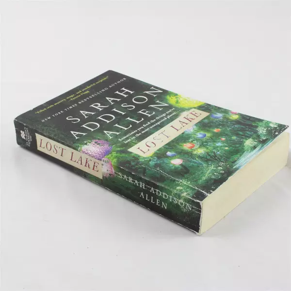 Lost Lake A Novel by Sarah Addison Allen Paperback Good Condition