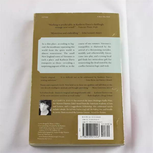 The Thin Place by Kathryn Davis Paperback Novel Fiction Book Good Condition