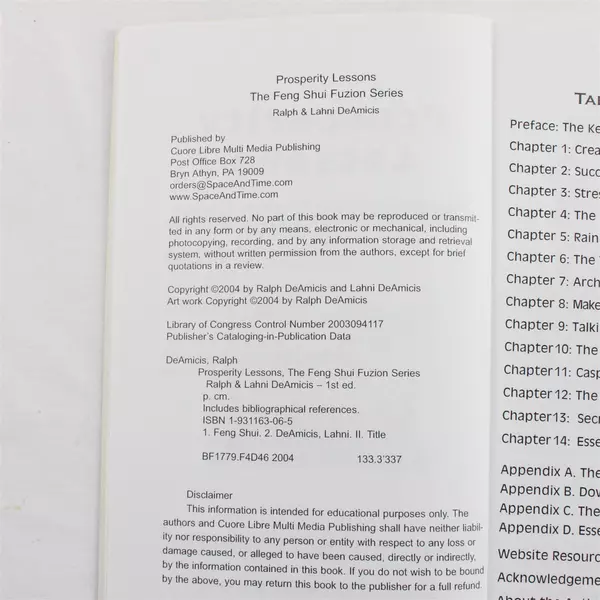 Prosperity Lessons Feng Shui Fuzion Series Book Ralph & Lahni DeAmicis PB