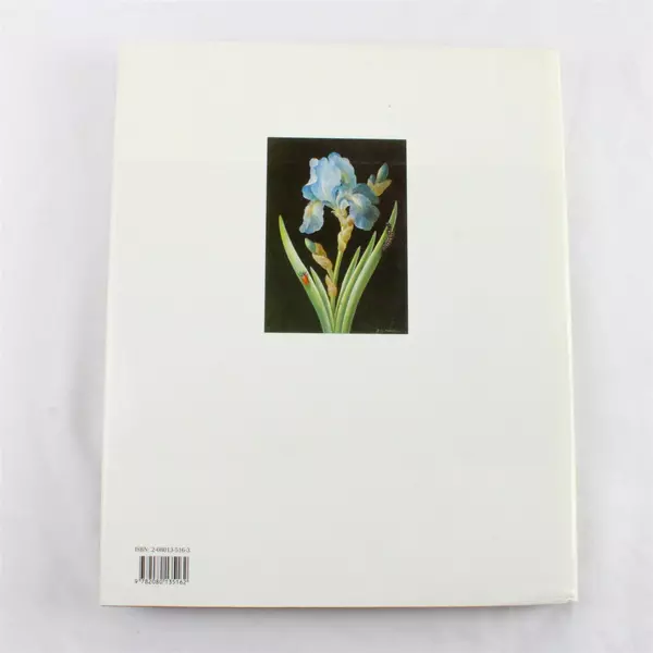 The Painter As Naturalist Book by Madeleine Pinault Hardcover