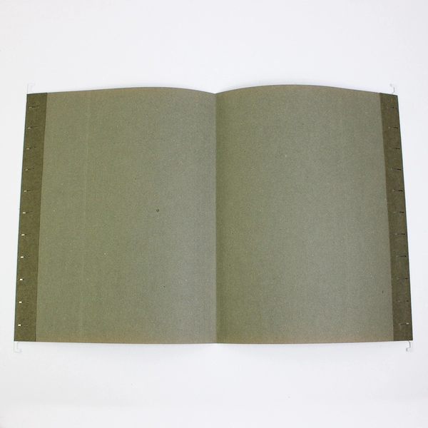 Lot of 25 Unbranded Light and Dark Green Hanging File