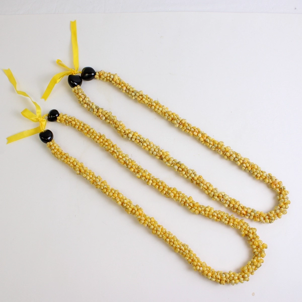 Lot of 2 Kukui Nut Mongo Shell Lei Necklaces FLAWED