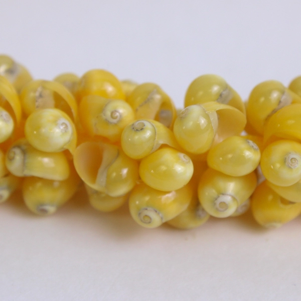 Lot of 2 Kukui Nut Mongo Shell Lei Necklaces FLAWED