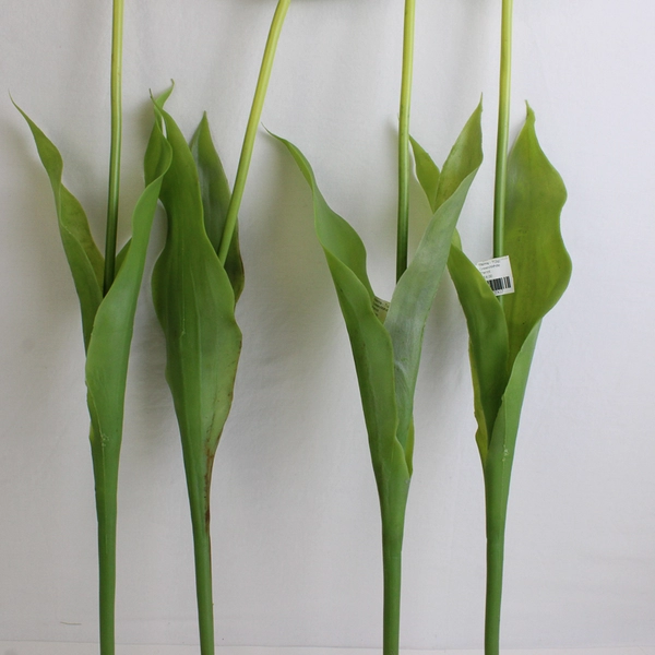 Set of 4 Large White Fake Parrot Tulips 24 Inch Artificial Flowers FLAWED