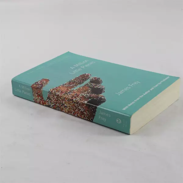 A Million Little Pieces by James Frey Paperback Novel