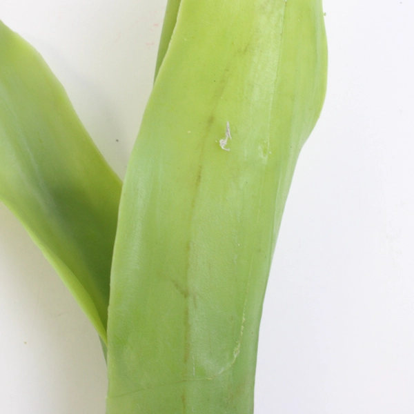 Set of 2 Large White Fake Parrot Tulips 24 Inch Artificial Flowers
