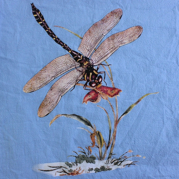 Blue Short-Sleeve Top Dragonfly Graphic Women's Size 5XL