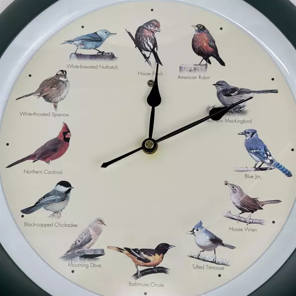 The Original Singing Bird Hanging Wall Clock 13" Green Sound Decor