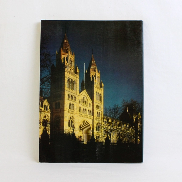 The British Museum Natural History Peter Whitehead Colin Keates PB