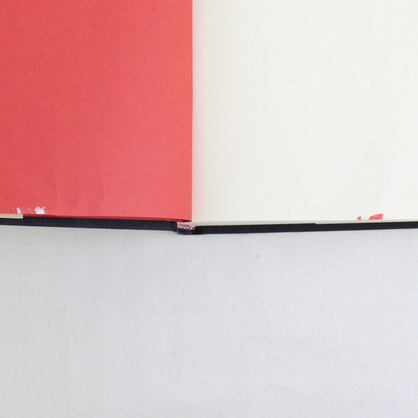 The Formation of Hell Hardcover by Alan E. Bernstein