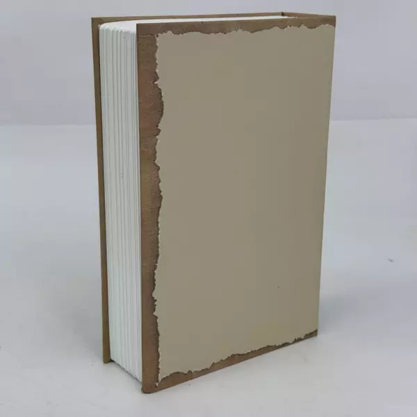 Rome Book Secret Safe Lock Box with Combination Lock for Money Cash