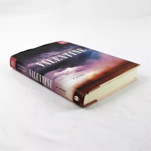 Valentine A Novel by Elizabeth Wetmore Hardcover