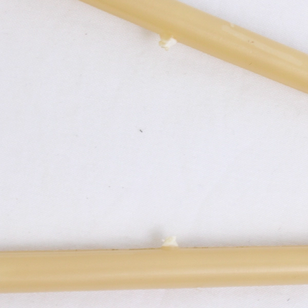 Lot of 10 White & Tan Plastic Traditional Clothing Hangers Closet Organization