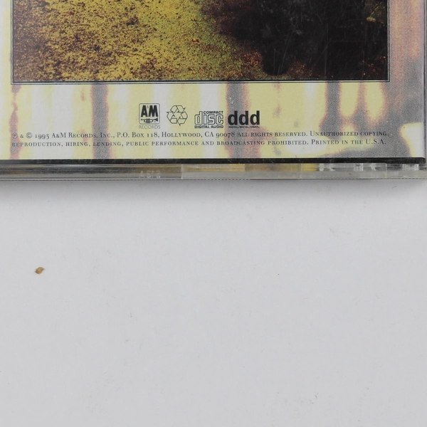 Ten Summoner's Tales CD, Sting 1993