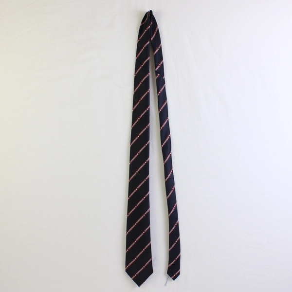 VTG Greeting Garb by Applause Superdad Blue and Red Men's Necktie 57"