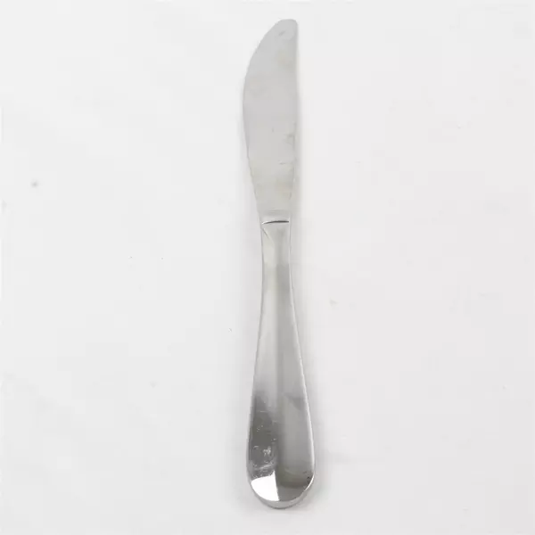 4 Cambridge AURORA Stainless Steel Dinner Knives 9 1/4" Center Ridge 